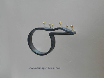 Anillo  Proyecciones / Horizonte