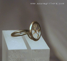 Anillos Mellizos